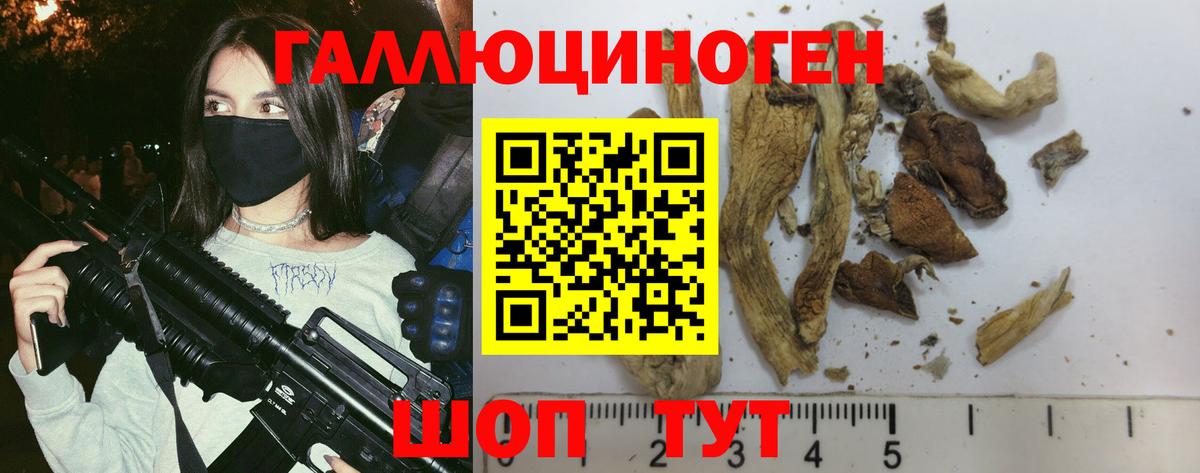 Галлюциногенные грибы ЛСД Бахчисарай